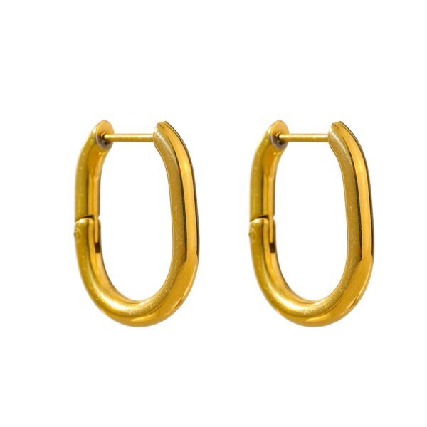 316L Stainless Steel Waterproof Earrings: Minimalist Oval Hoop, 18K Texture, Occident Women Accessories