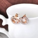 Elegant Stainless Steel Clay Crystal Double Circles Stud Earrings - Vintage Jewelry for Trendy Women and Girls