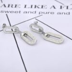 Stylish Titanium Steel Geometry Thick Chain Earrings - Fashion Original Design Bohemian CZ Crystal Party Jewelry for Women